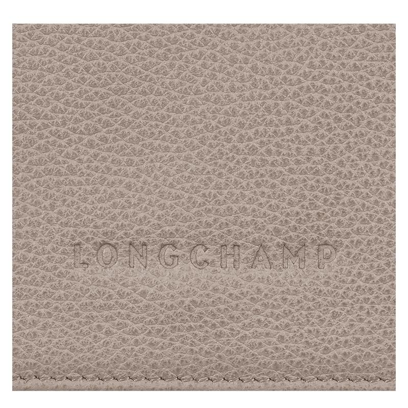 Longchamp Le Foulonné Erkek Cüzdan Gri | 94261-CTHS